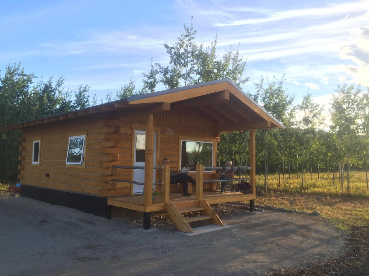 Oma'S And Opa'S Northern Lights Viewing Cabin Vila Whitehorse Exterior foto