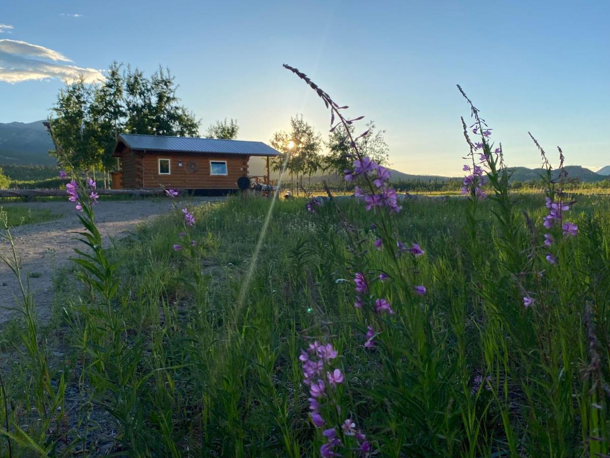 Oma'S And Opa'S Northern Lights Viewing Cabin Vila Whitehorse Exterior foto