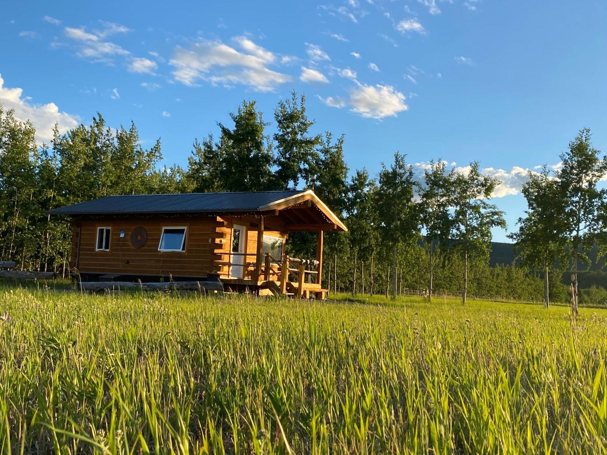 Oma'S And Opa'S Northern Lights Viewing Cabin Vila Whitehorse Exterior foto